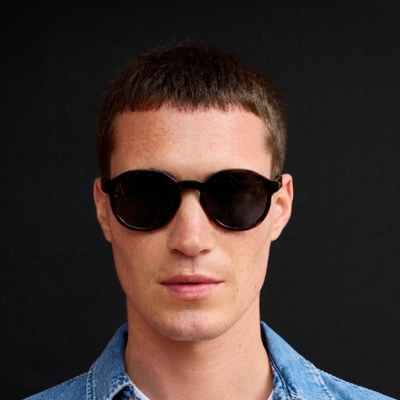 Tortoise frame, Shade lens